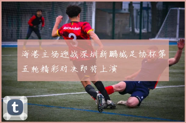 海港主场迎战深圳新鹏城足协杯第五轮精彩对决即将上演